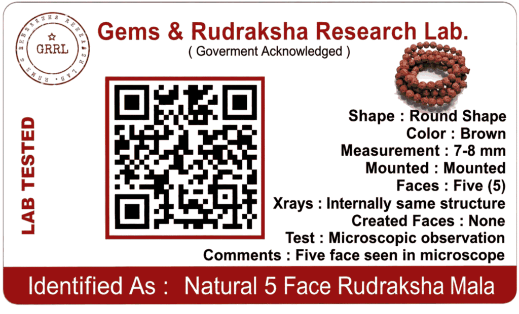 Original Rudraksha Mala 108 Beads Price